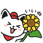 出前にゃんスタンプ～夏～